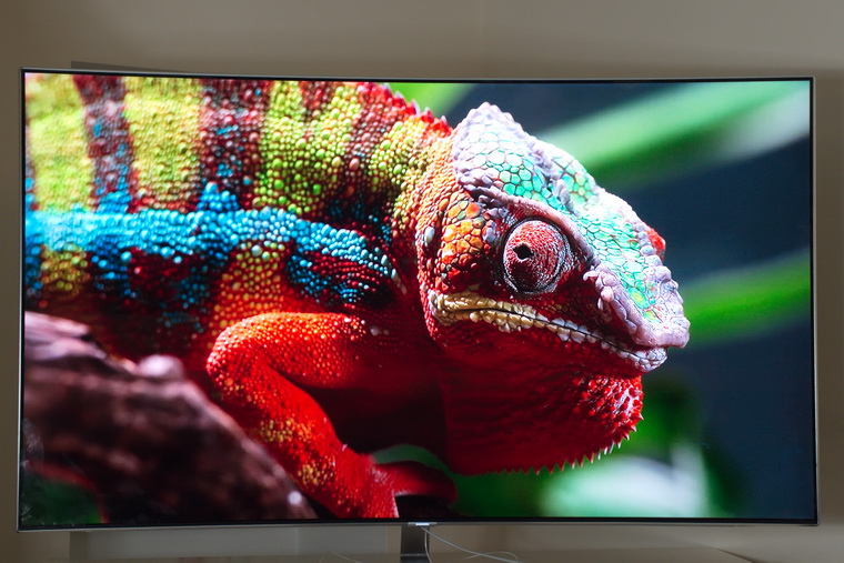 Новинки от Samsung 2018 года_телевизоры-хамелеоны уже скоро появятся в продаже - хамелеон на экране телевизора